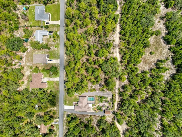 18328 Maberly Rd, Weeki Wachee, FL 34614 - photo 97