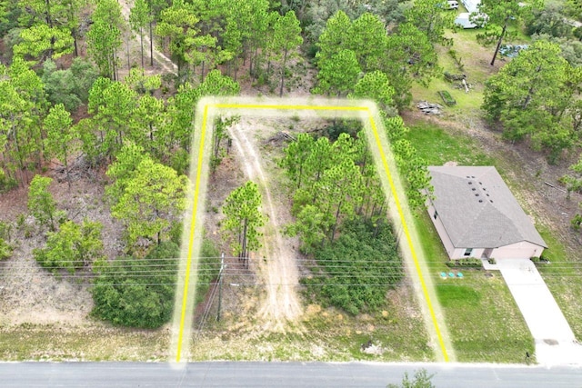 9452 N Paradisea Dr, Citrus Springs, FL 34433