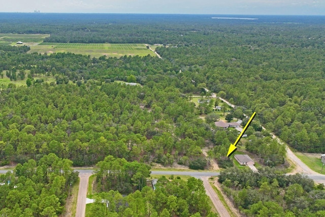 9452 N Paradisea Dr, Citrus Springs, FL 34433