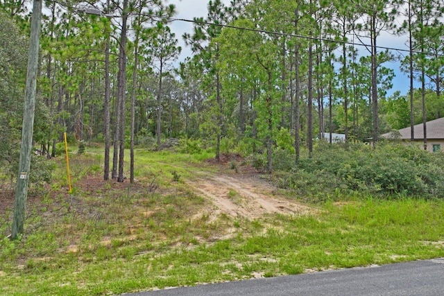 9452 N Paradisea Dr, Citrus Springs, FL 34433