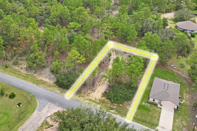 9452 N Paradisea Dr, Citrus Springs, FL 34433