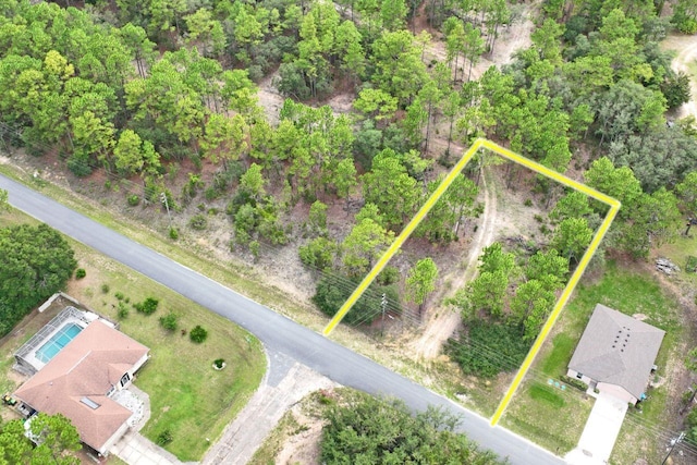 9452 N Paradisea Dr, Citrus Springs, FL 34433