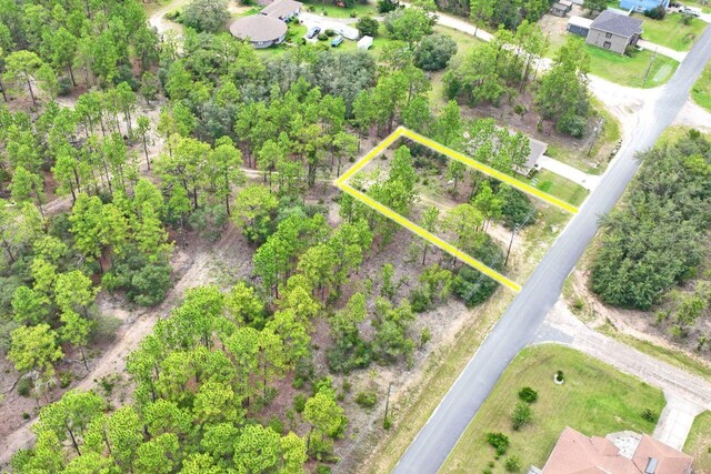 9452 N Paradisea Dr, Citrus Springs, FL 34433