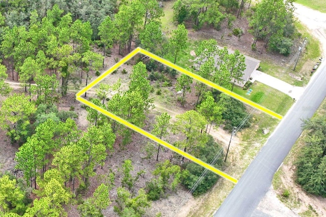 9452 N Paradisea Dr, Citrus Springs, FL 34433