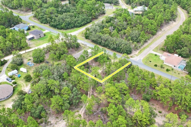 9452 N Paradisea Dr, Citrus Springs, FL 34433