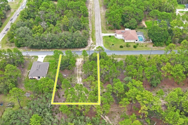 9452 N Paradisea Dr, Citrus Springs, FL 34433