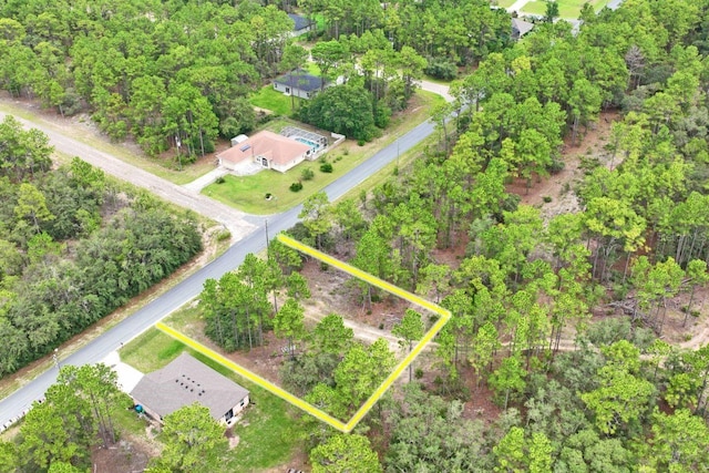 9452 N Paradisea Dr, Citrus Springs, FL 34433