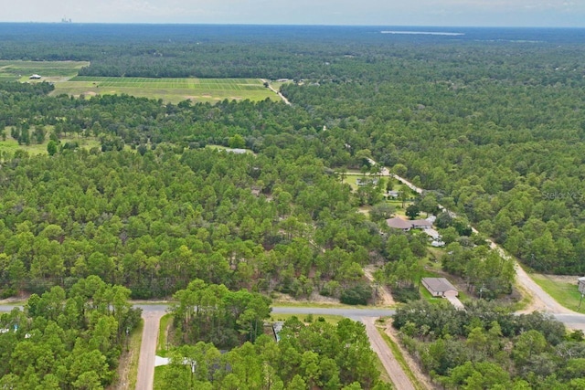 9452 N Paradisea Dr, Citrus Springs, FL 34433