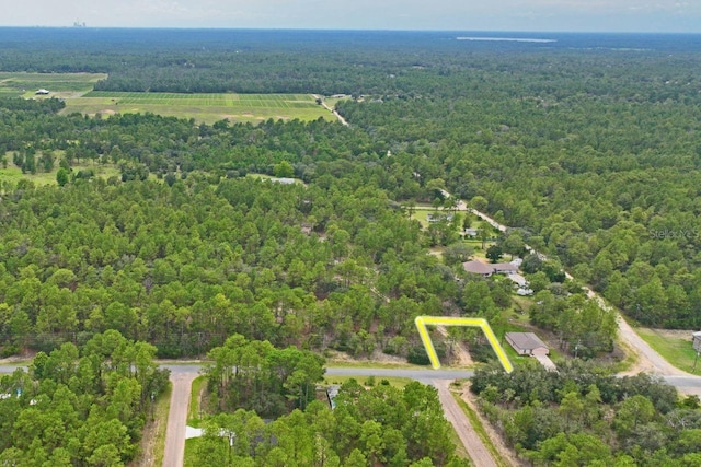 9452 N Paradisea Dr, Citrus Springs, FL 34433