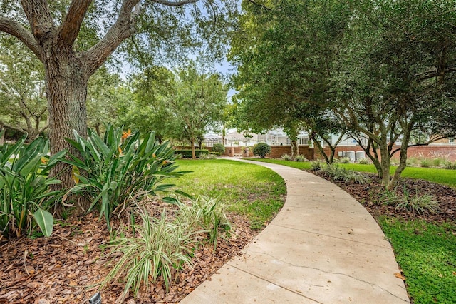 14647 Potterton Cir, Hudson, FL 34667 - surrounding community with a lawn