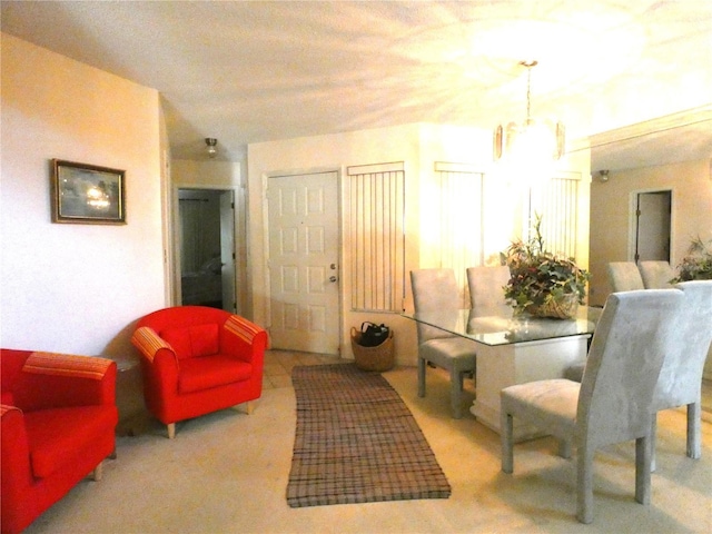 11733 Rolling Pine Ln, Port Richey, FL 34668 - photo 13