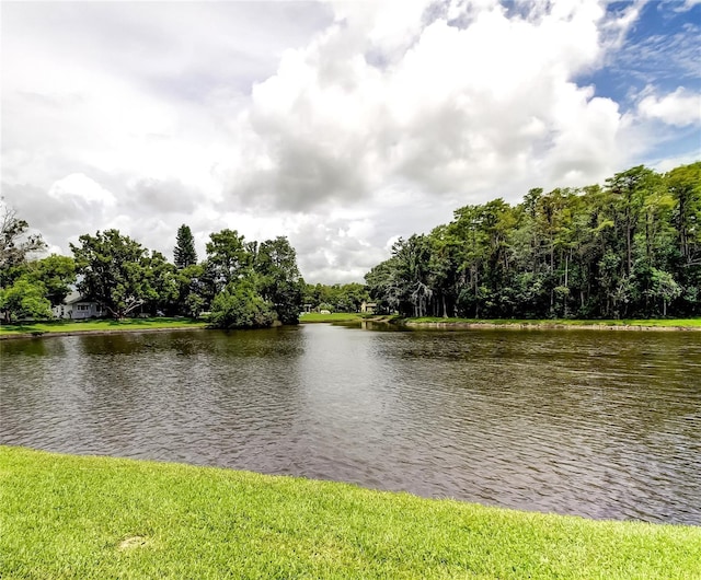 4756 Sheffield Dr, New Port Richey, FL 34655 - photo 3