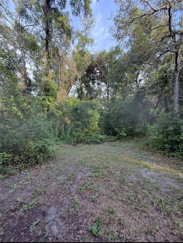 12300 Walter St, Hudson, FL 34669
