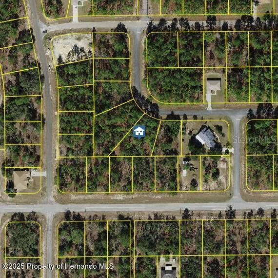 2404 W Elmore Loop, Citrus Springs, FL 34434 - photo 1
