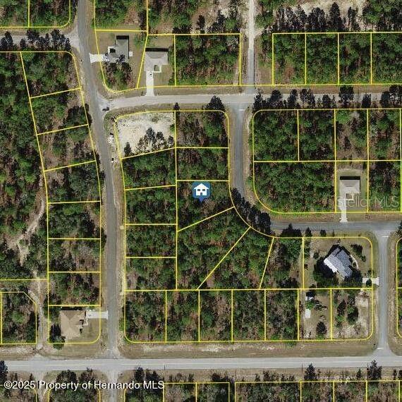 2432 W Elmore Loop, Citrus Springs, FL 34434 - photo 1