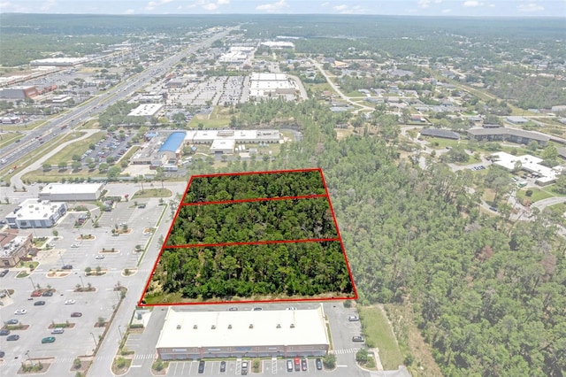 00 Sagheer St, Brooksville, FL 34613 - photo 19