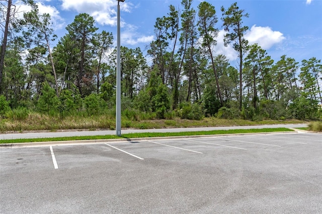 00 Sagheer St, Brooksville, FL 34613 - photo 31