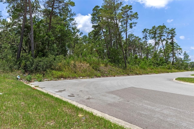 00 Sagheer St, Brooksville, FL 34613 - photo 32