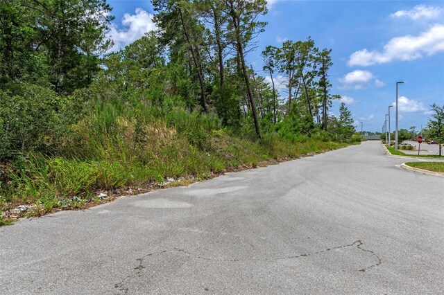 00 Sagheer St, Brooksville, FL 34613 - photo 33
