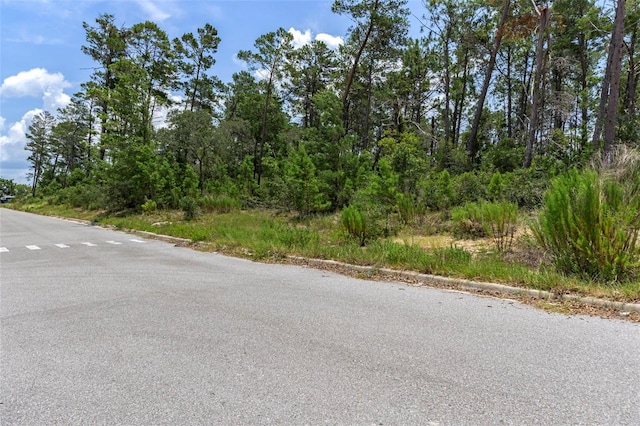 00 Sagheer St, Brooksville, FL 34613 - photo 34