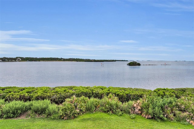 1813 Mariner Dr Unit 146, Tarpon Springs, FL 34689 - photo 23