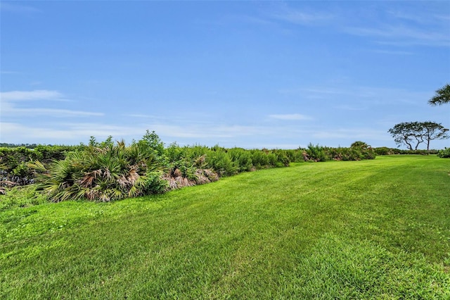 1813 Mariner Dr Unit 146, Tarpon Springs, FL 34689 - photo 51