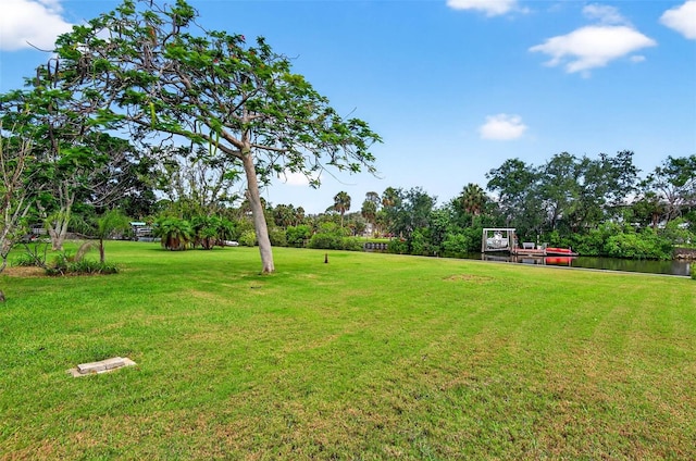 614 Riverside Dr, Tarpon Springs, FL 34689 - photo 6