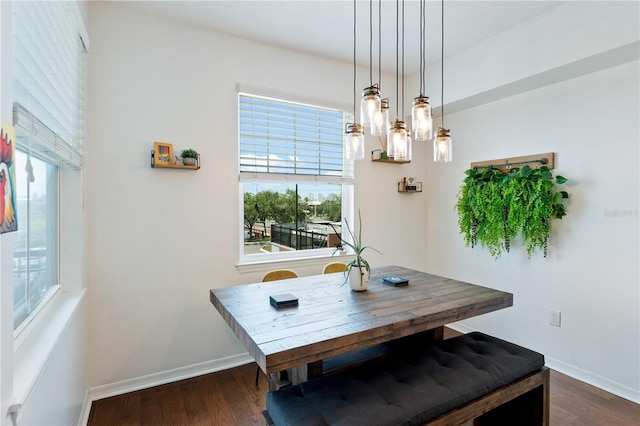 2010 E Palm Ave Unit 14312, Tampa, FL 33605 - dining area with healthy amount of natural light and dark wood-style floors