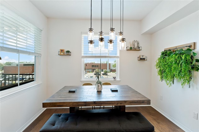 2010 E Palm Ave Unit 14312, Tampa, FL 33605 - dining room with dark wood-style floors and baseboards