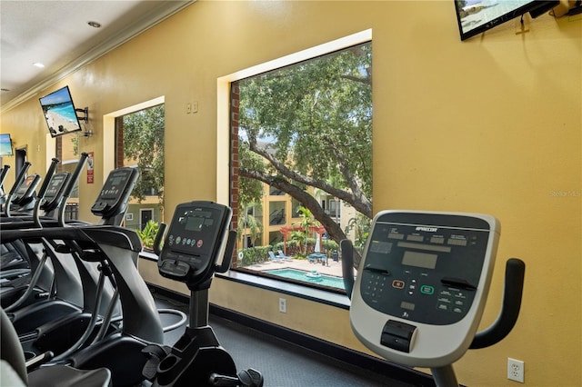 2010 E Palm Ave Unit 14312, Tampa, FL 33605 - gym featuring crown molding