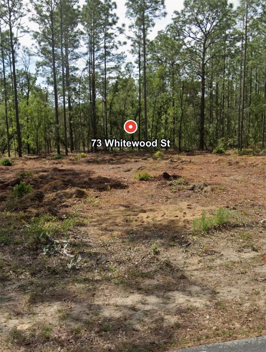 73 Whitewood St, Homosassa, FL 34446 - photo 1