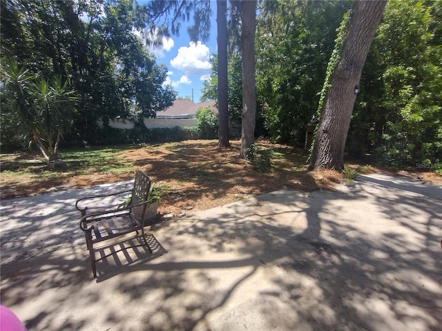 2419 Appian Ave, Spring Hill, FL 34608 - photo 17