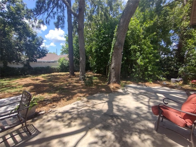 2419 Appian Ave, Spring Hill, FL 34608 - photo 19
