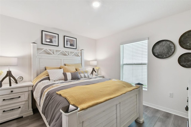11861 Downy Birch Dr, Riverview, FL 33569 - bedroom featuring dark wood finished floors and multiple windows