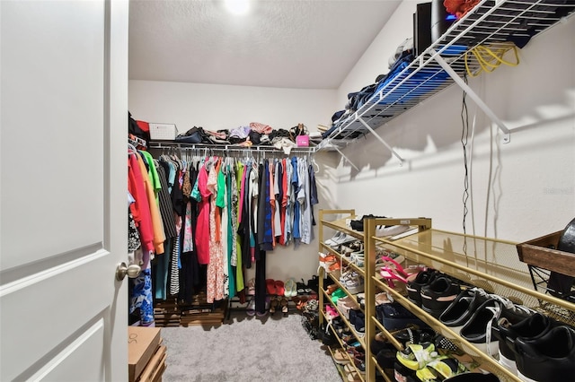 11861 Downy Birch Dr, Riverview, FL 33569 - view of spacious closet