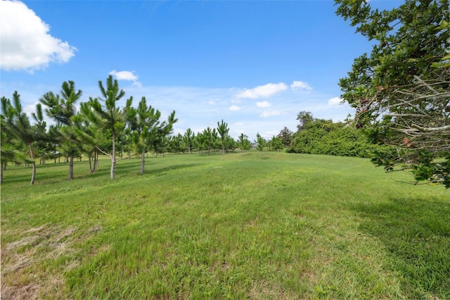 8921 Kilmer Way, Hudson, FL 34667 - view of green lawn