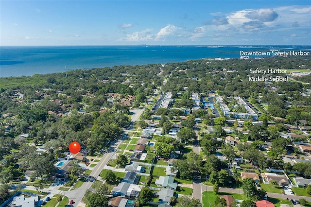 2180 Philippe Pkwy, Safety Harbor, FL 34695 - photo 69