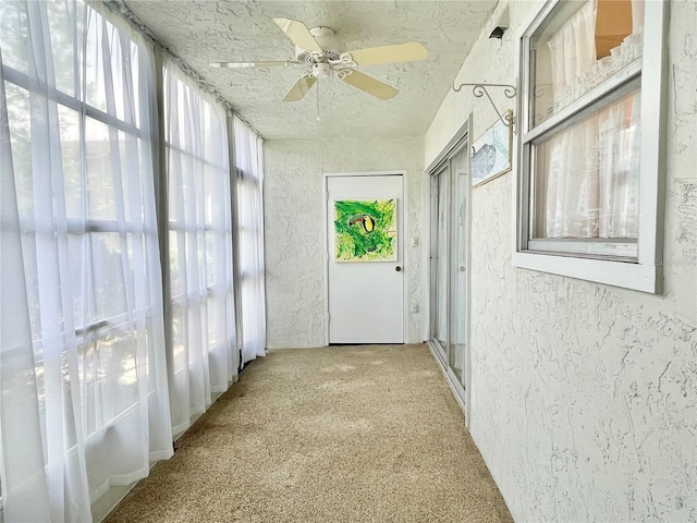 421 Windrush Bay Dr Unit 421, Tarpon Springs, FL 34689 - photo 21