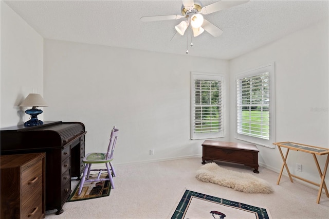 12041 Penzance Ln, New Port Richey, FL 34654 - photo 33