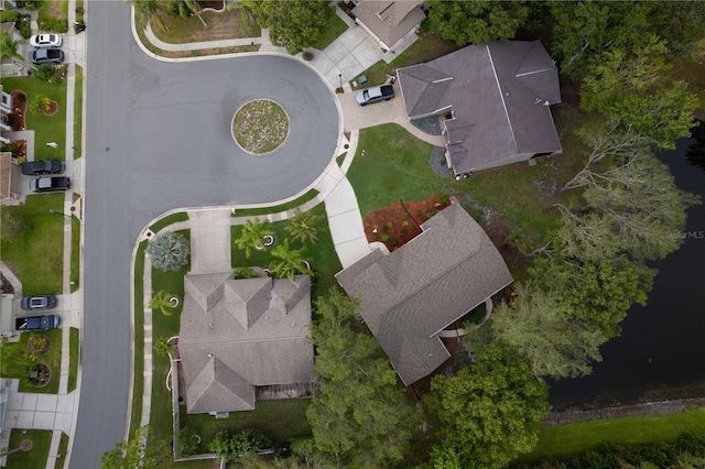 12041 Penzance Ln, New Port Richey, FL 34654 - photo 41