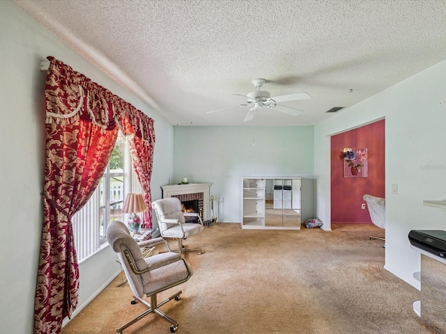 7820 Jenner Ave, New Port Richey, FL 34655 - photo 15