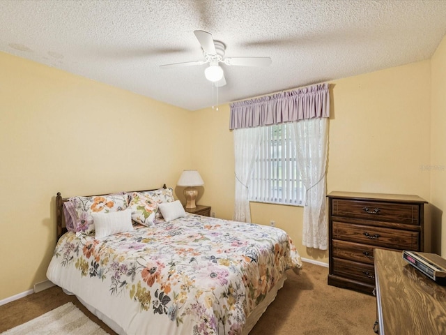 7820 Jenner Ave, New Port Richey, FL 34655 - photo 26