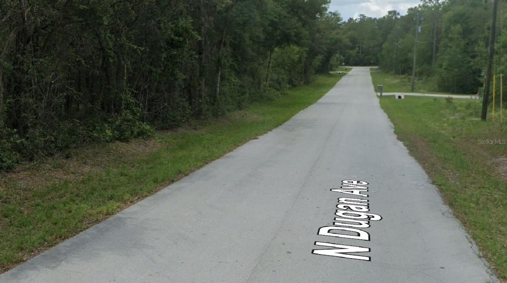 371 N Dugan Ave, Inverness, FL 34453 - photo 3