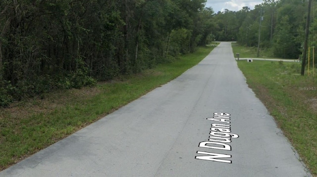 371 N Dugan Ave, Inverness, FL 34453 - photo 3