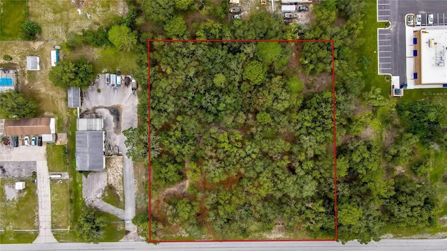 18933 Old Shady Hills Rd, Spring Hill, FL 34610 - photo 1