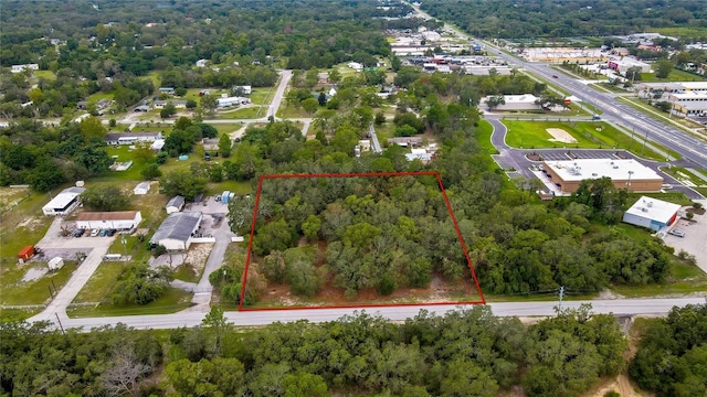 18933 Old Shady Hills Rd, Spring Hill, FL 34610 - photo 2