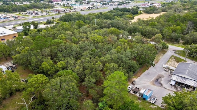 18933 Old Shady Hills Rd, Spring Hill, FL 34610 - photo 6
