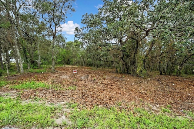18933 Old Shady Hills Rd, Spring Hill, FL 34610 - photo 11