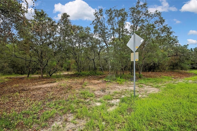 18933 Old Shady Hills Rd, Spring Hill, FL 34610 - photo 12