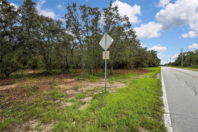 18933 Old Shady Hills Rd, Spring Hill, FL 34610 - photo 13